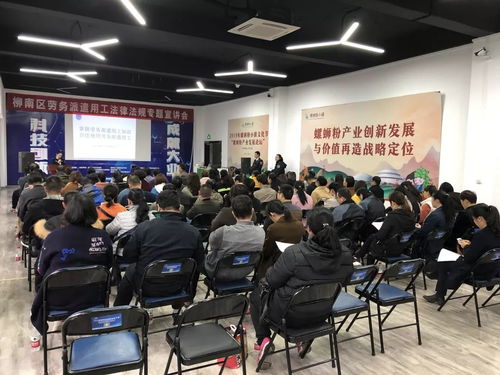 柳南區(qū)舉辦勞務(wù)派遣用工法律法規(guī)專題宣講會(huì)，助力互聯(lián)網(wǎng)信息服務(wù)行業(yè)規(guī)范發(fā)展